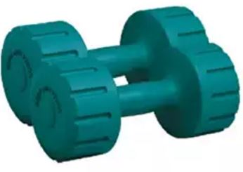 6kg dumbbell vinyl- many cheap options are available