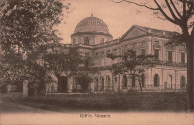 Raffles Library and Museum, 1900s