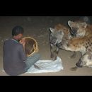 Ethiopia Hyenas 20