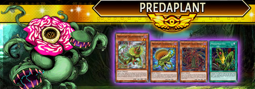 Predaplant Breakdown | YuGiOh! Duel Links Meta