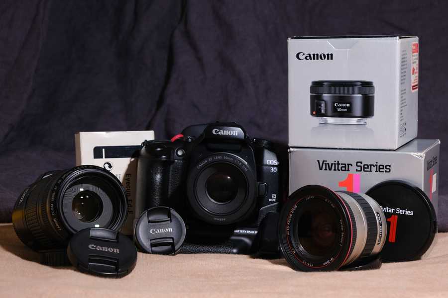 Canon EOS 30 and the gang
