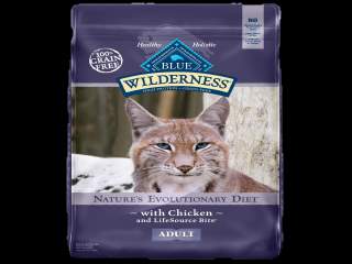 Feed the Kittys