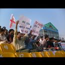Faisalabad cricket 20