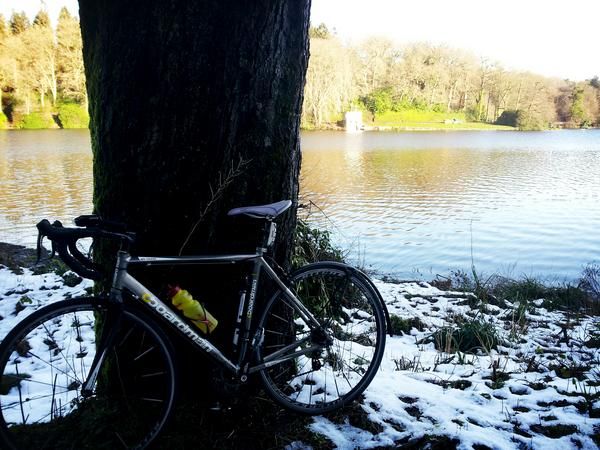 oh my god twitter doesn’t include alt text from images in their API