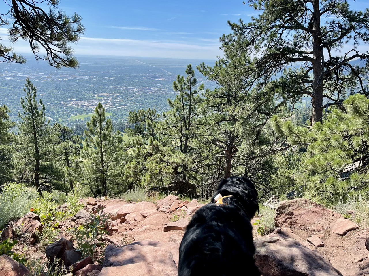 Lyra on a hike in Boulder