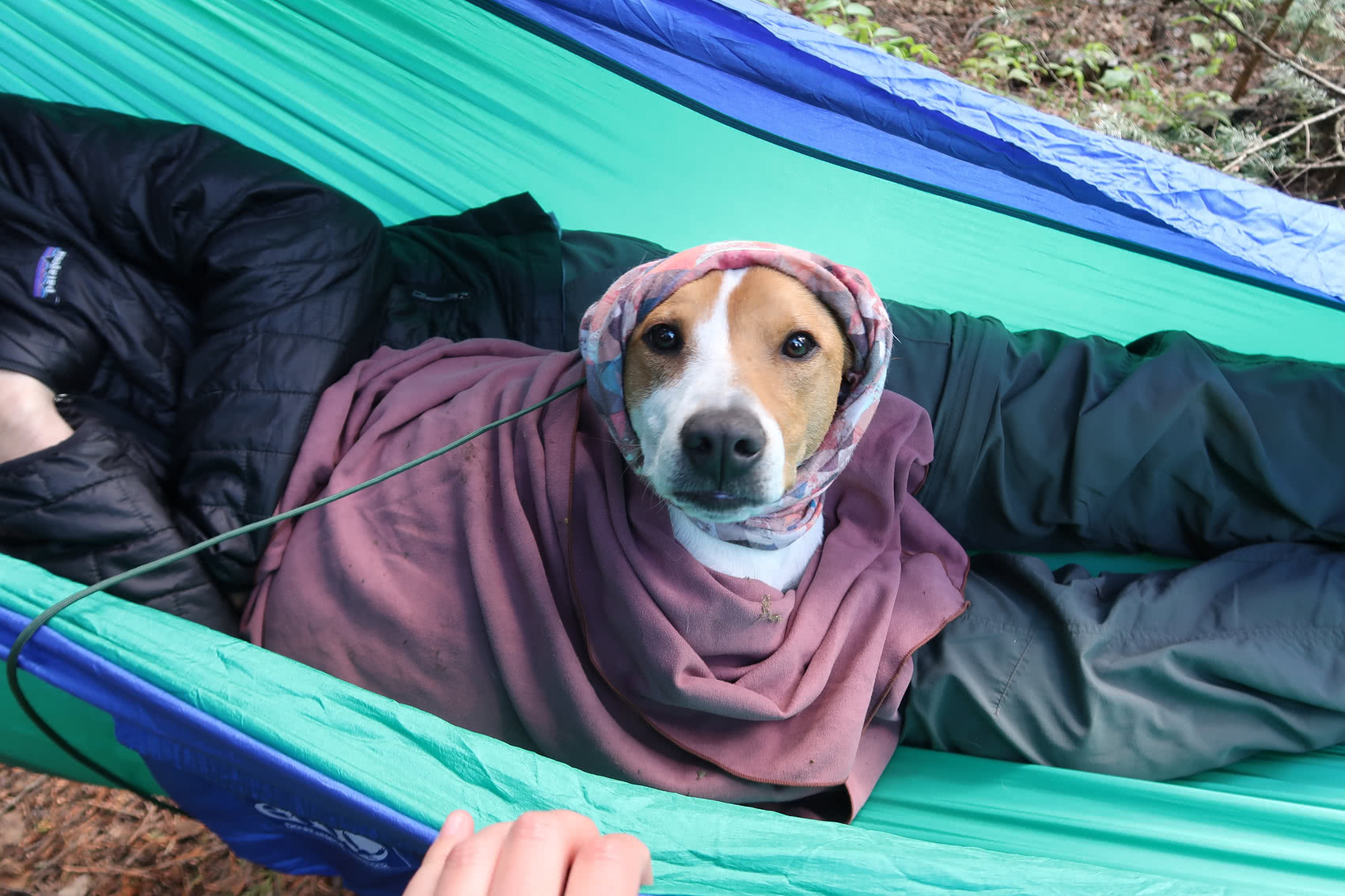 Crimson was getting cold so we had to improvise