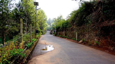 Road approach to the plot