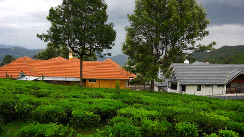 Plot 99 Serenitea - View towards Coimbatore valley