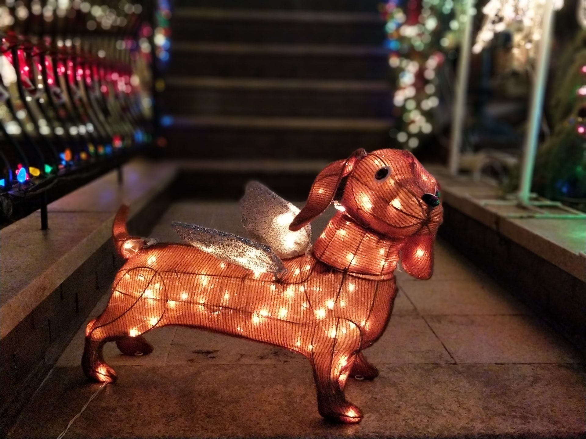 Perro navideño