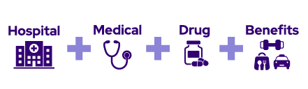 Graphic of WellSense services: hospital, medical, drug and benefits