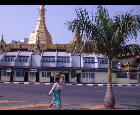 Burma Yangon Sule 8