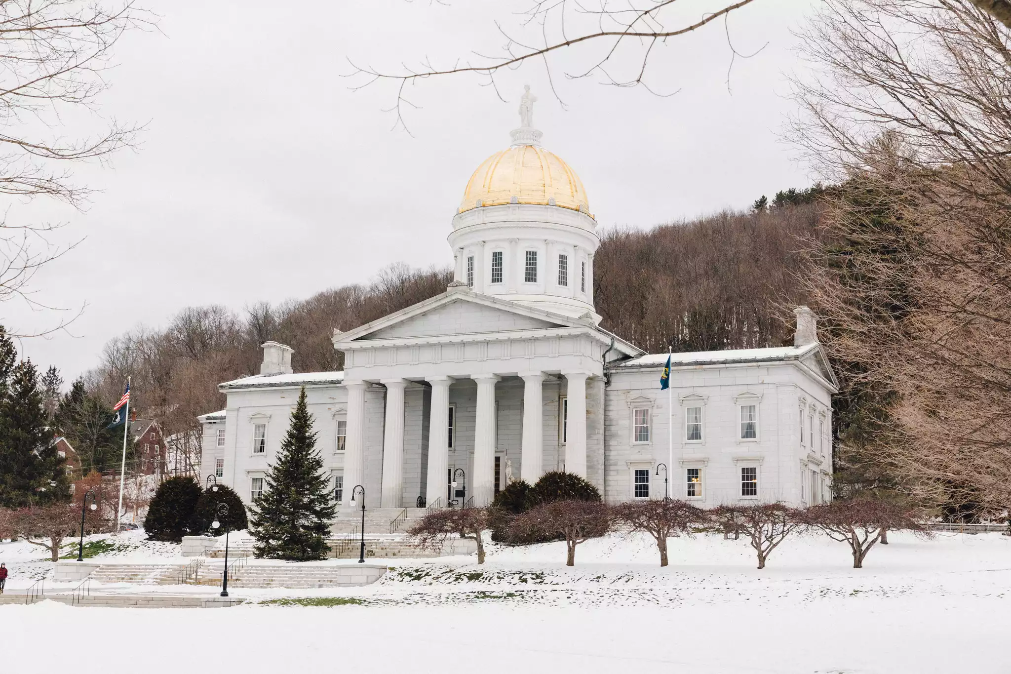 Vermont State House #4