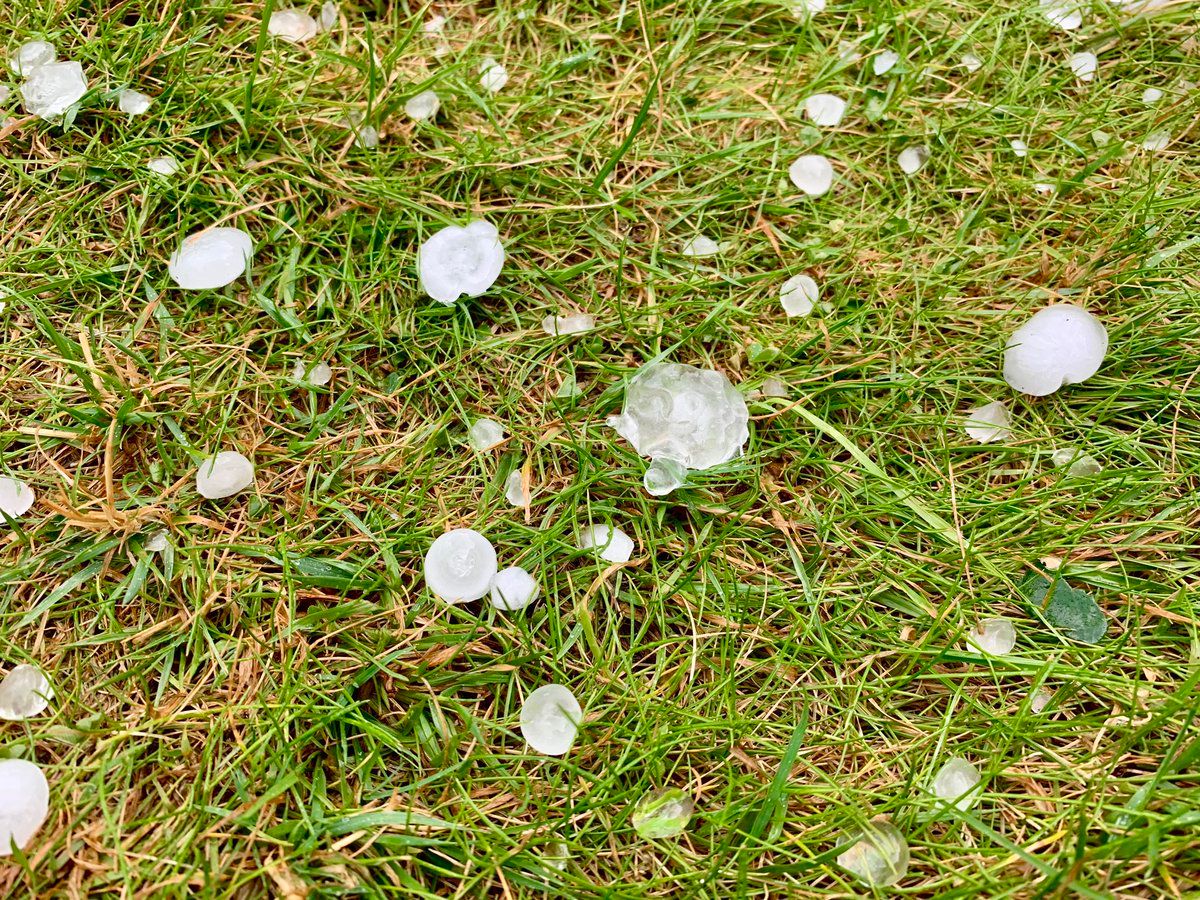 oh my god twitter doesn’t include alt text from images in their API