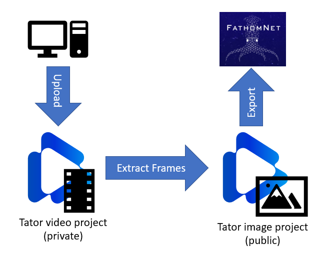 Private to public project workflow: Upload to a Private Video Project. Extract frames to a Public Image Project, and Export to FathomNet.