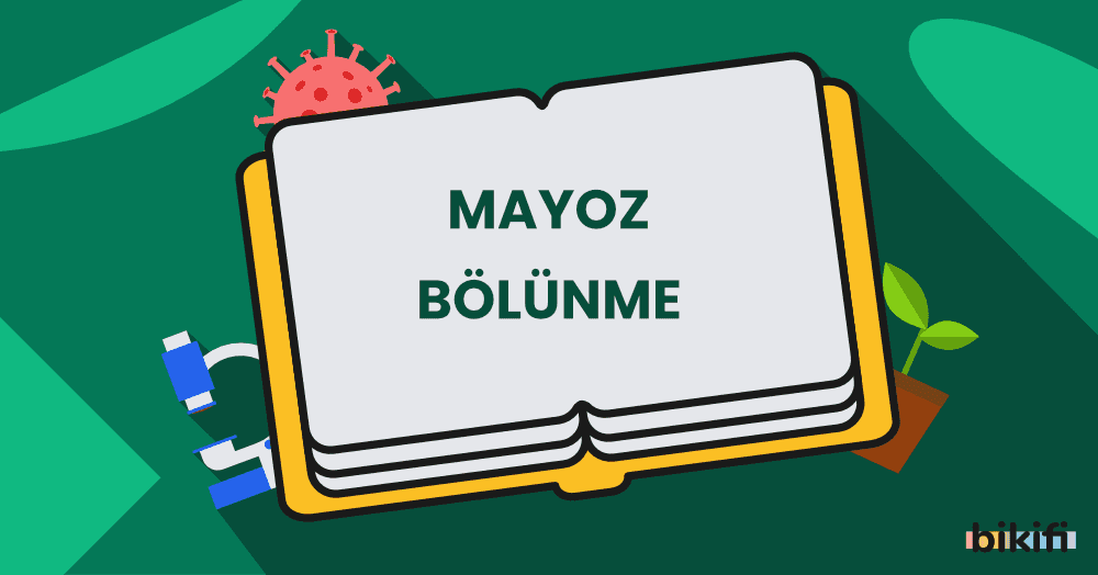 Mayoz Bölünme