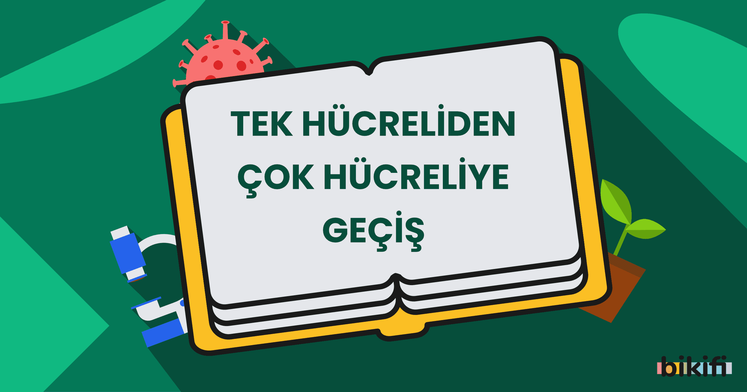 Tek Hücreliden Çok Hücreliye Geçiş
