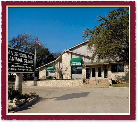 austin Animal Hospital