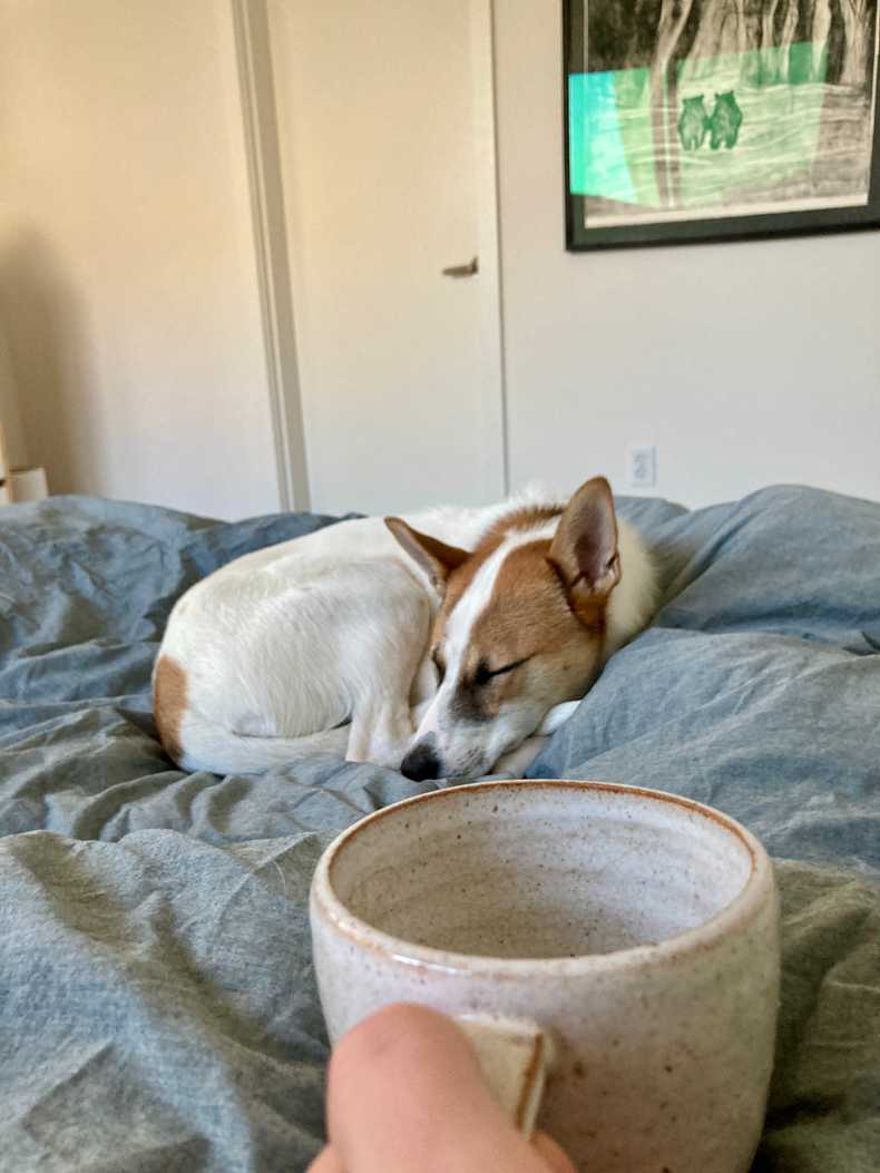 A sleepy puppy and coffee in my favorite mug