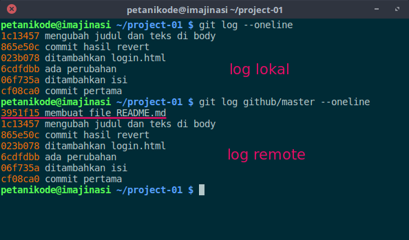 git log remote