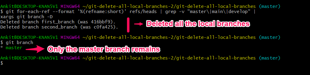 git-delete-local-branch-and-remote-branch-with-force-delete