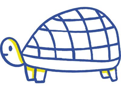 turtle