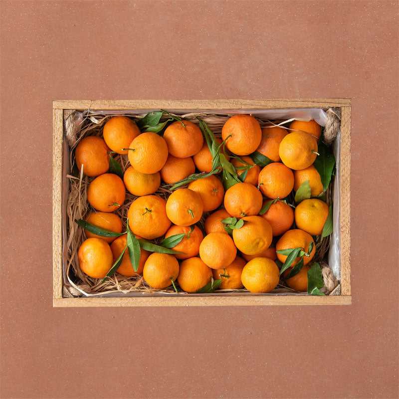 Epicerie-Grecque-Produits-Grecs-mandarines-de-chios-en-caisse-de-4kg