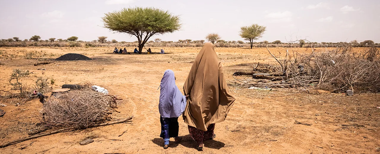 An adult and child inspect a field in Qaloocato in Odweine, Somaliland.