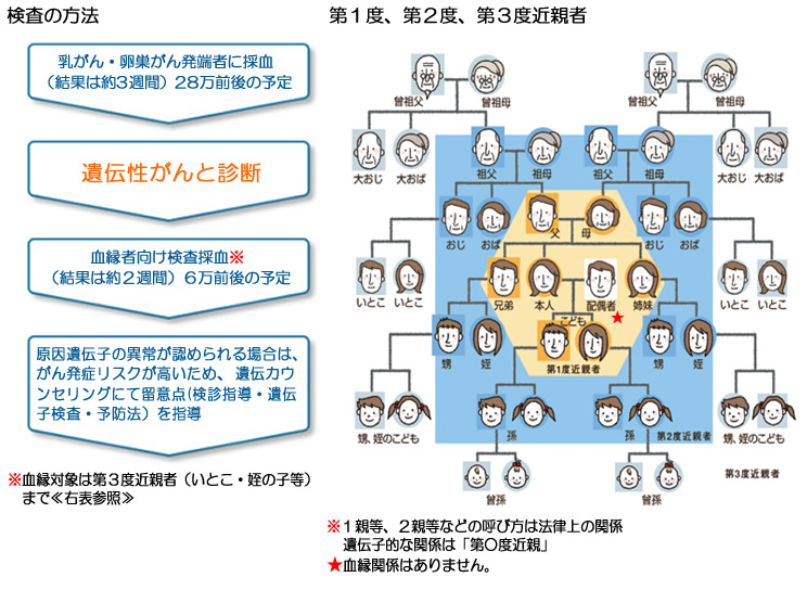 図解