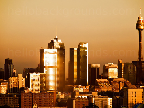 Gold tinted Urban cityscape at sunrise with various tall buildings some reflecting sunlight from windows Zoom background