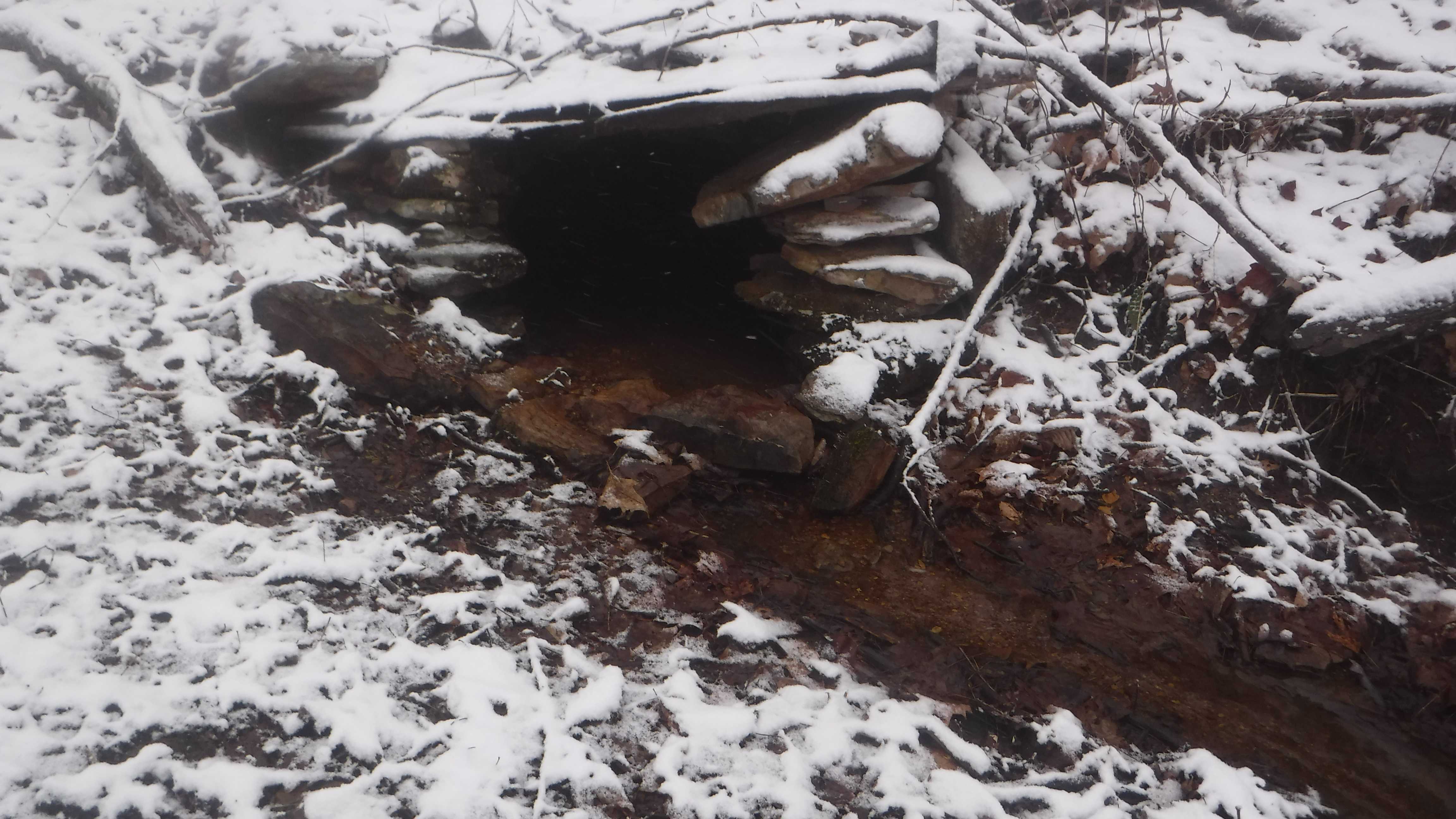 Frozen Head State Park Chimney Top Trail to Spicewood Trail Loop