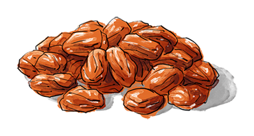 Illustration of a pile of Rasins