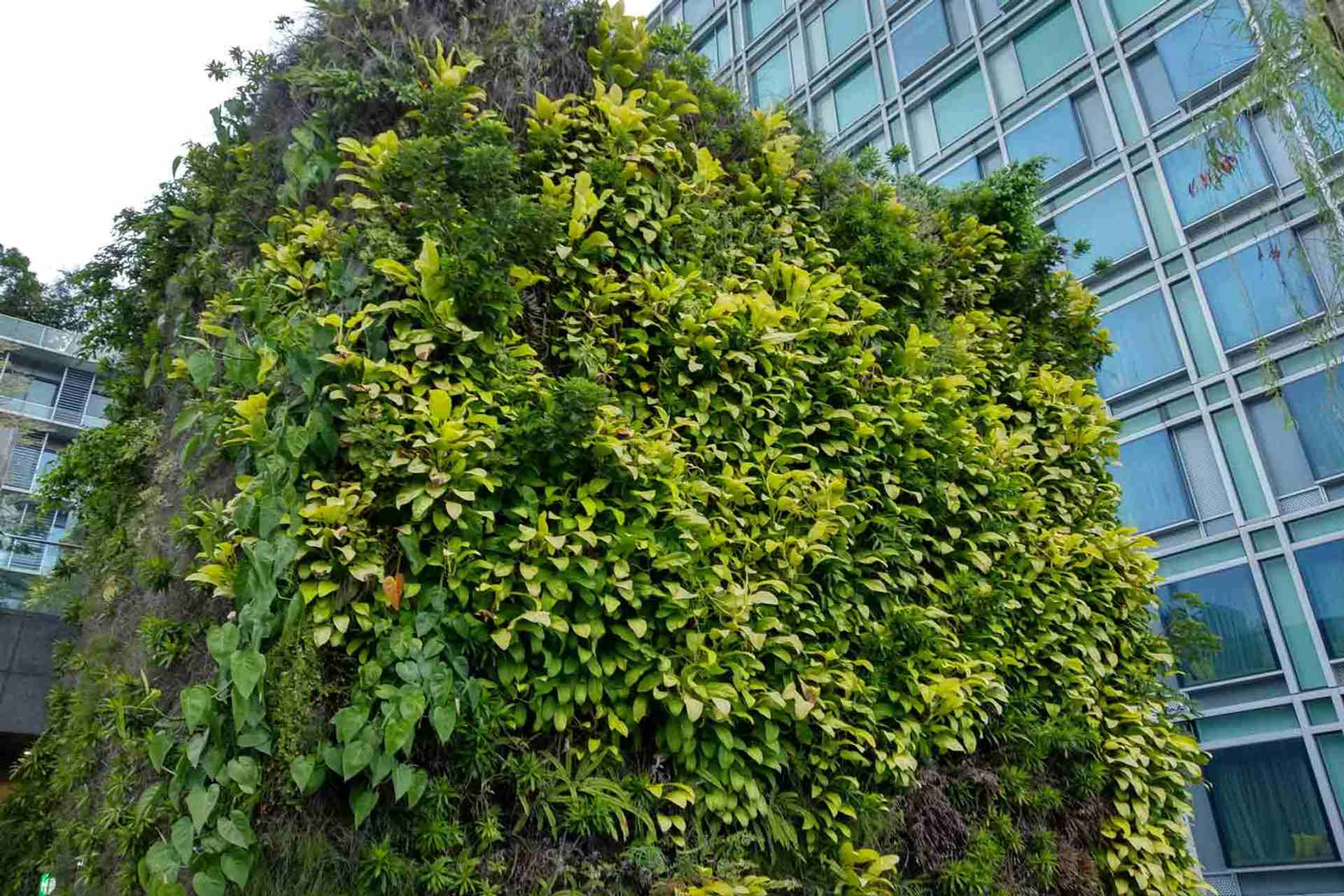 Singapore Orchard Mall rooftop