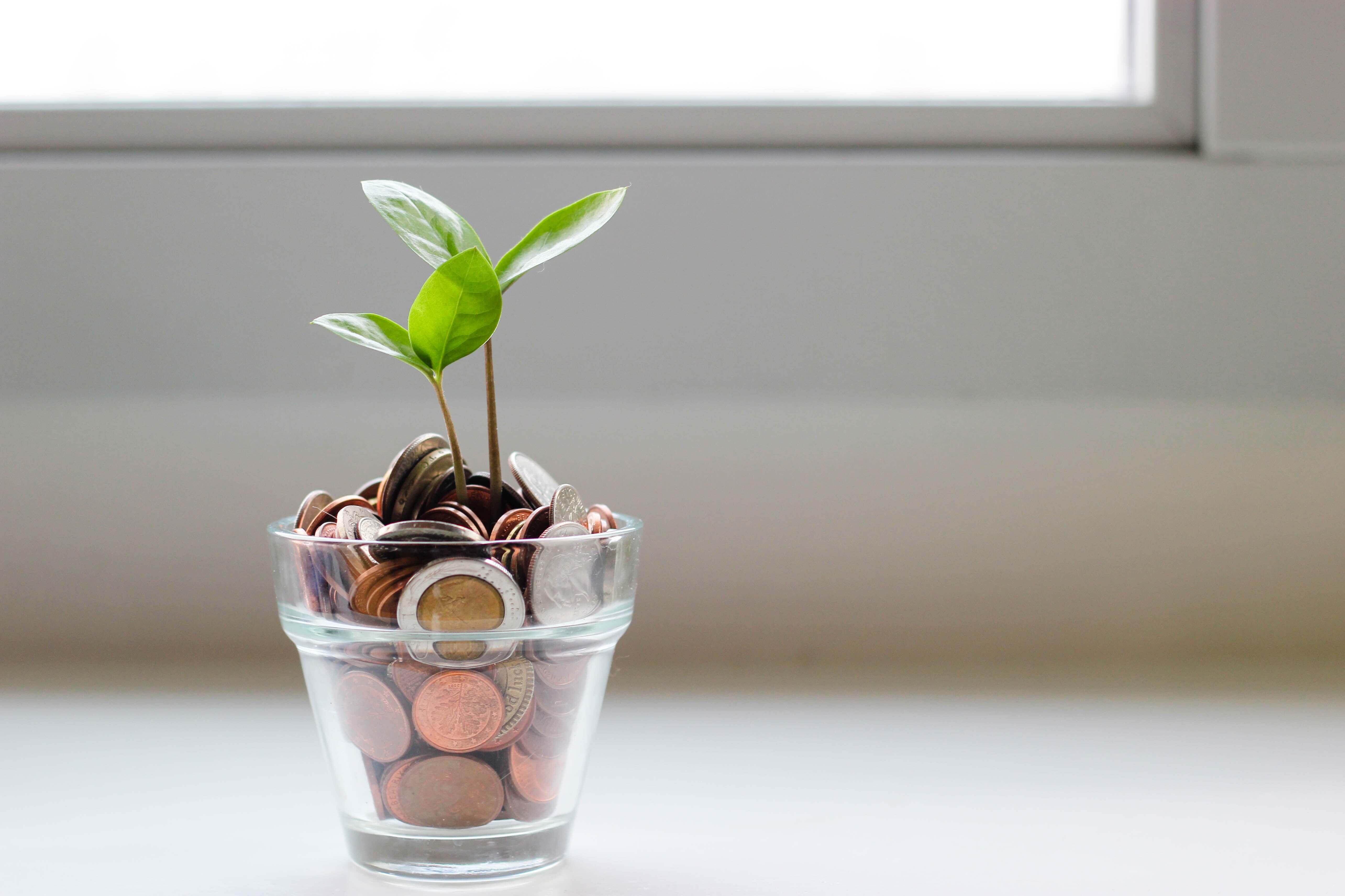 money saving advice