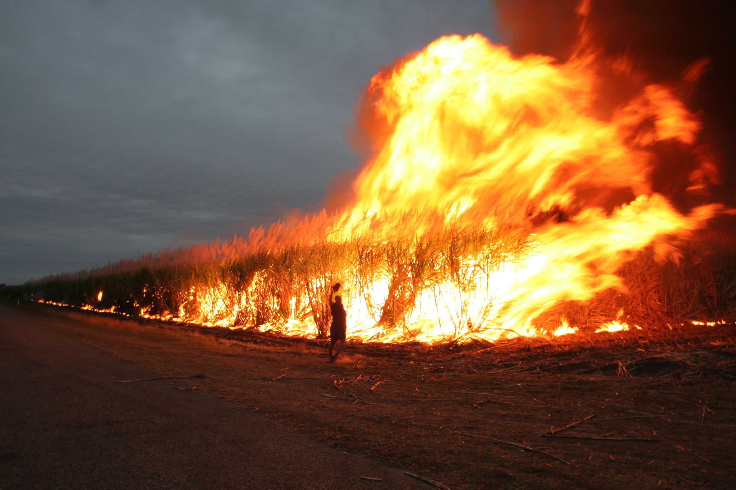 The Destructive Force Of Bushfires