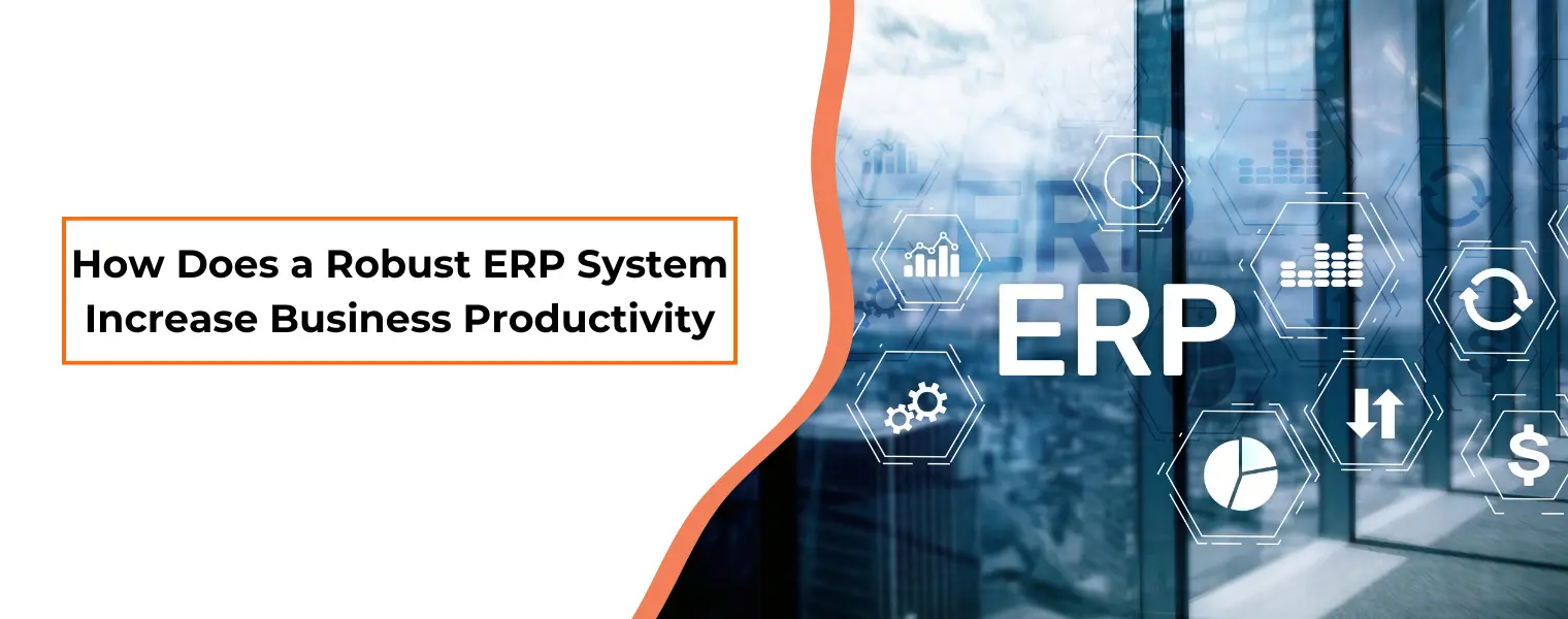 How Does a Robust ERP System Increase Business Productivity