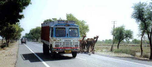 India truck