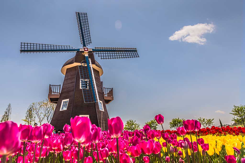 Traditional Dutch windmill in the Netherlands
