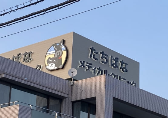 切り文字・箱文字看板01