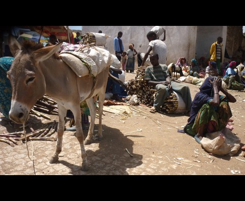 Ethiopia Harar Market 9