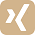 Xing icon