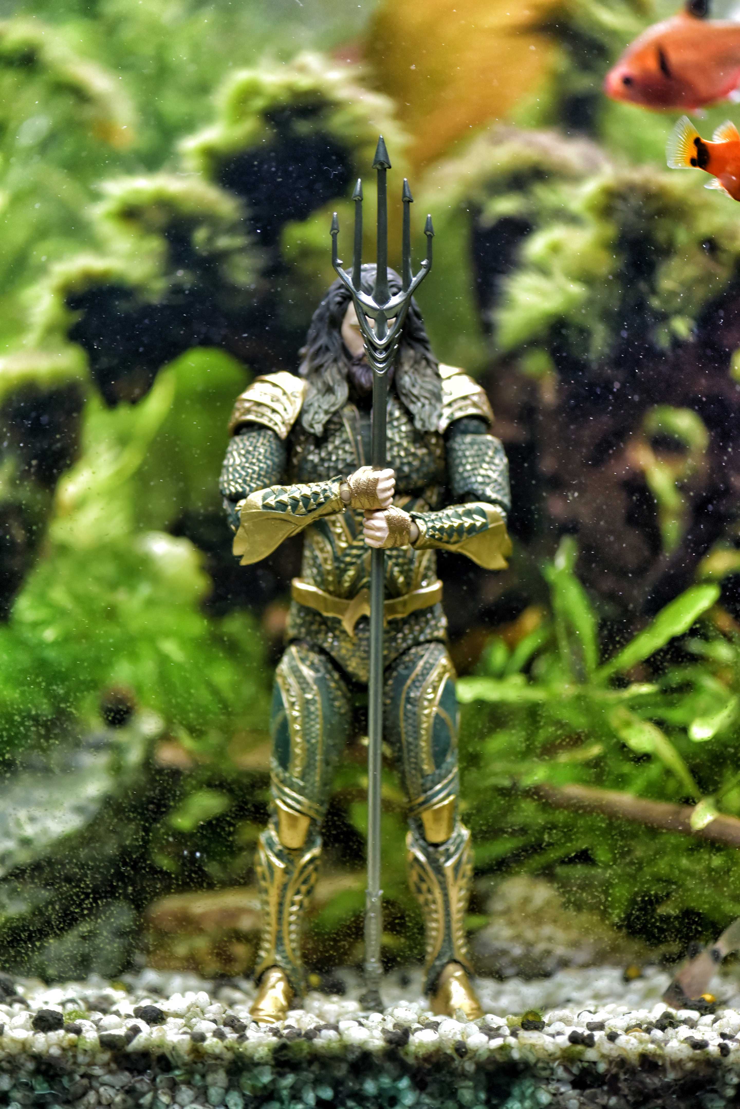 Aquaman In Fish Tank