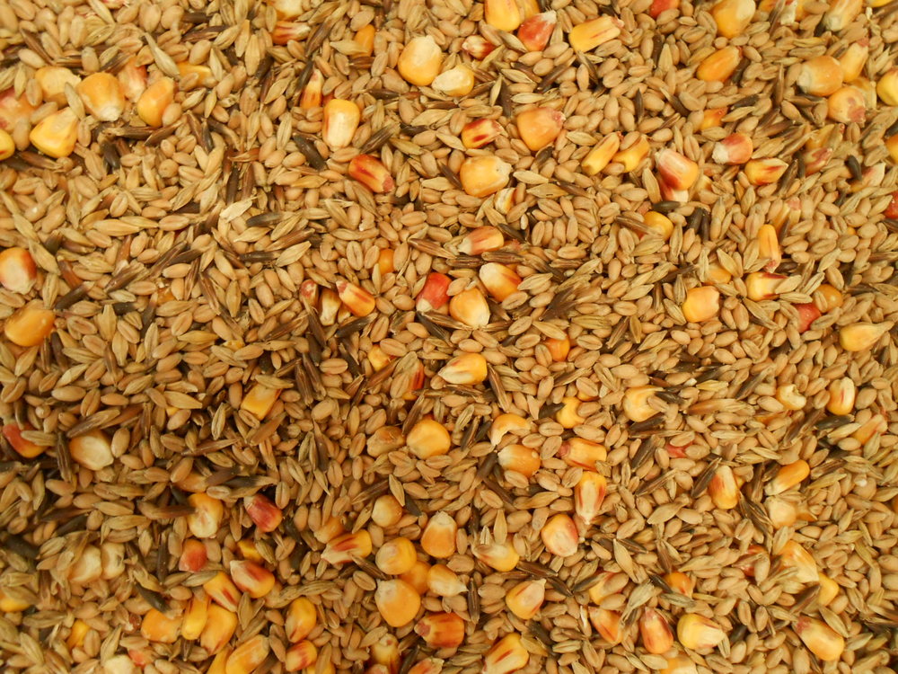 Mélange « Volaille »