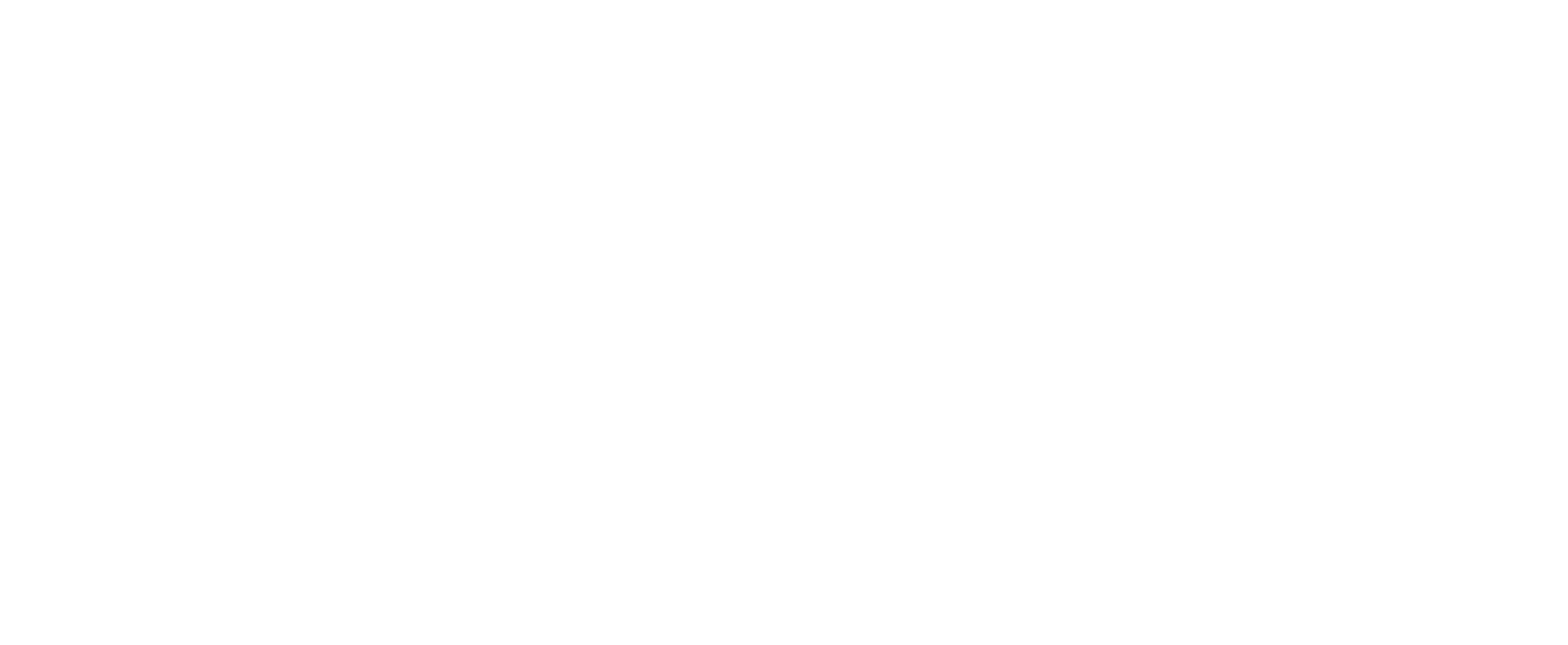 Bit Wave Labs' Logo