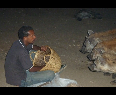 Ethiopia Hyenas 10