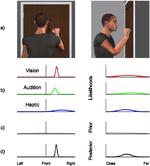 Multisensory contributions to spatial perception