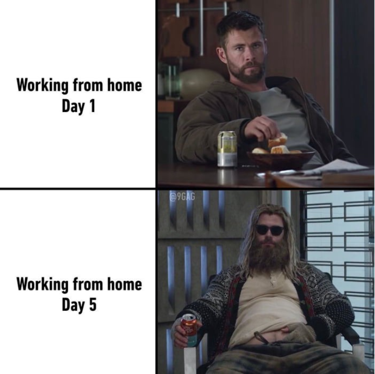 Working from home meme.