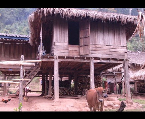 Laos Luang Nam Tha 22