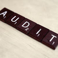 pmp audit experience verification form sample
