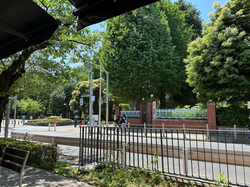 The view from the patio of a cafe. In front is a quiet road, and on the other side green trees and some pedestrians walking by an old brick wall. It’s a sunny day, but the photo is taken from the shade of an awning.