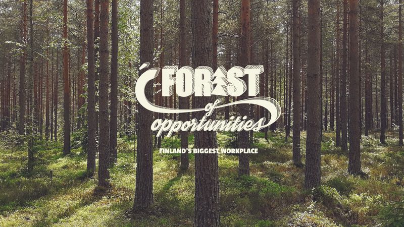 The logo of school campaign Forest of opportunities on a forest background